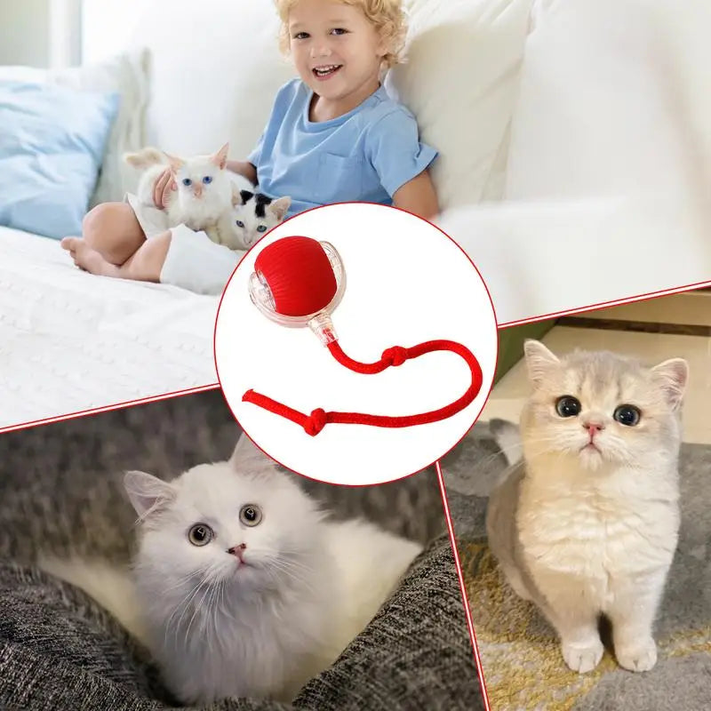 Cat Interactive Ball Toys
