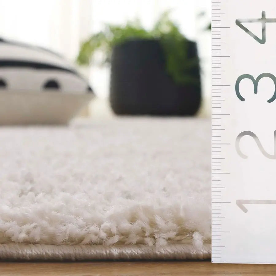 Arizona Shag Collection Area Rug