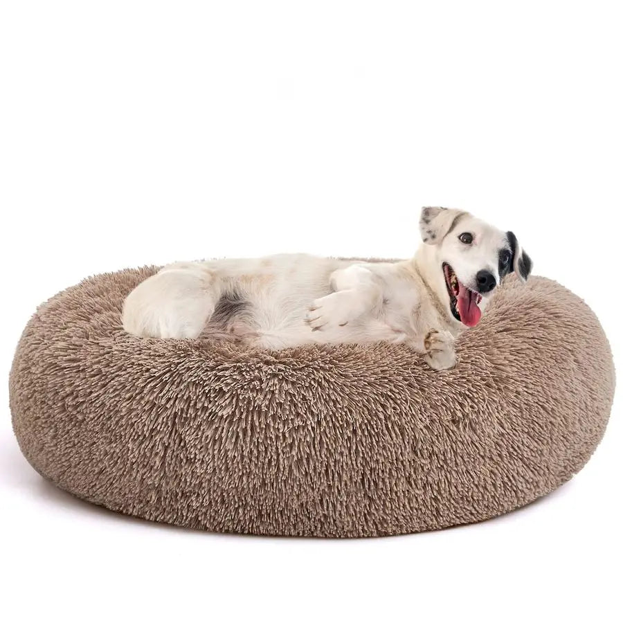 Orthopedic Round Dog Bed