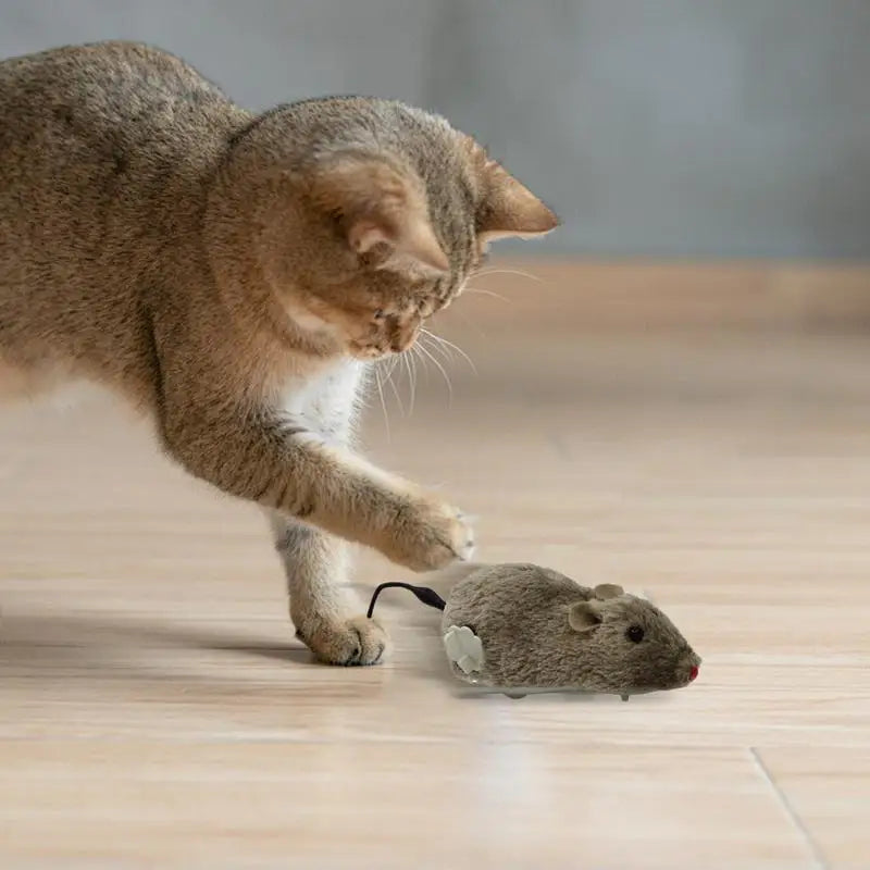 Fun Mouse and Interactive Plush Wind-Up Cat Toy