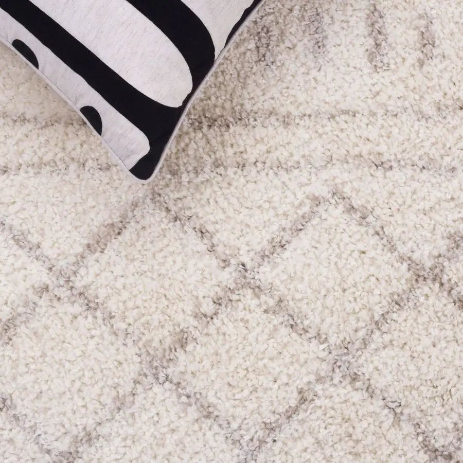 Arizona Shag Collection Area Rug