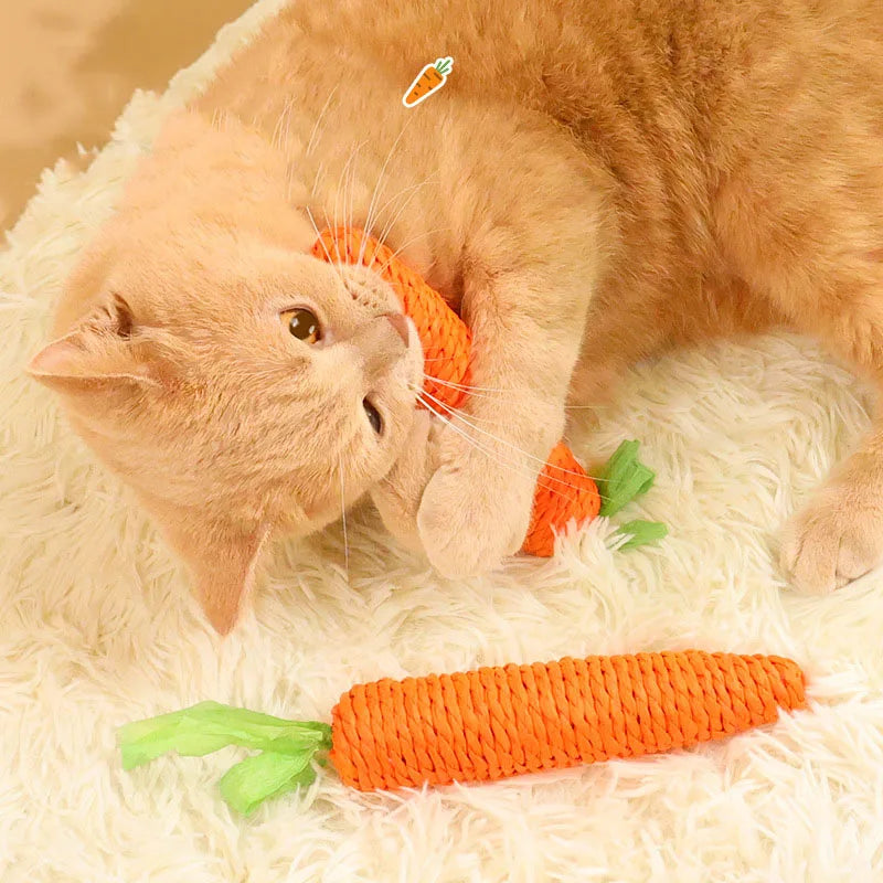 Cat Toys Make Sounds Carrots
