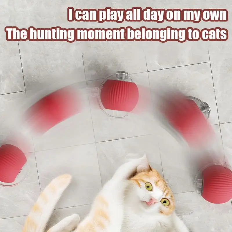 Cat Interactive Ball Toys