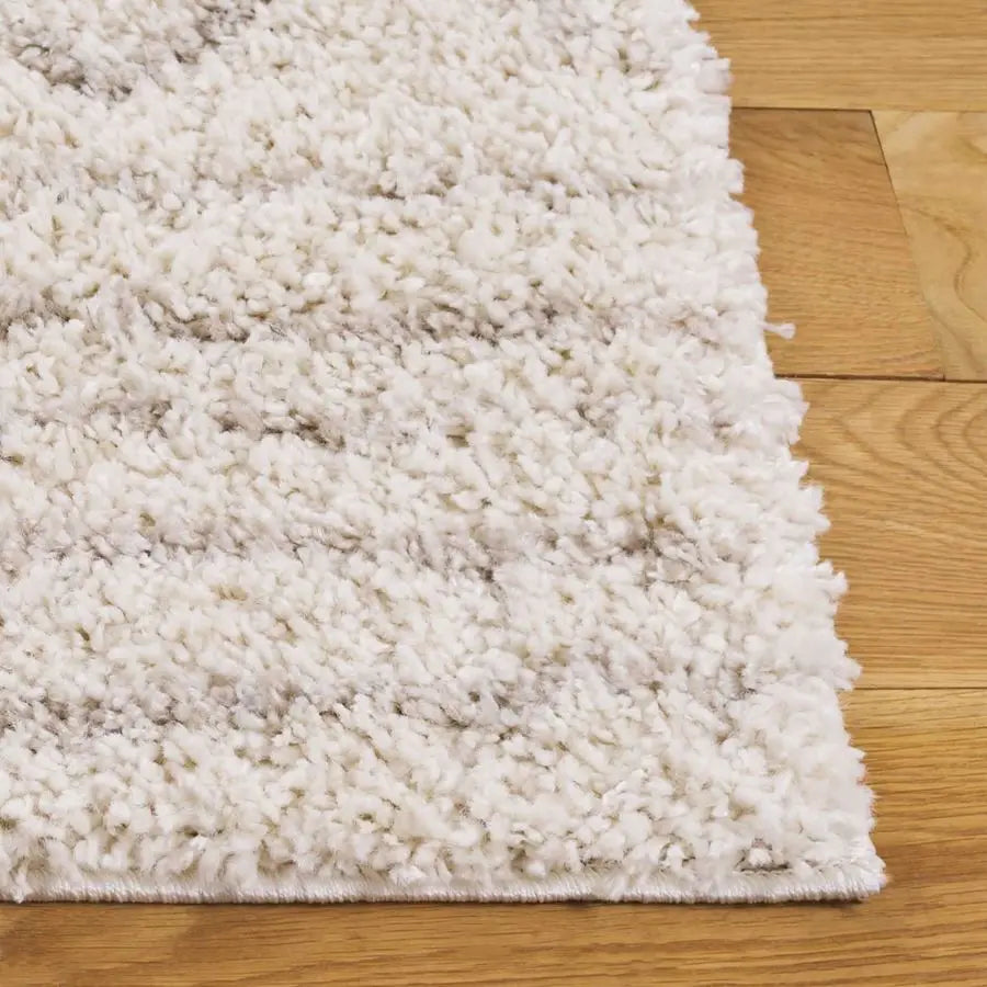 Arizona Shag Collection Area Rug