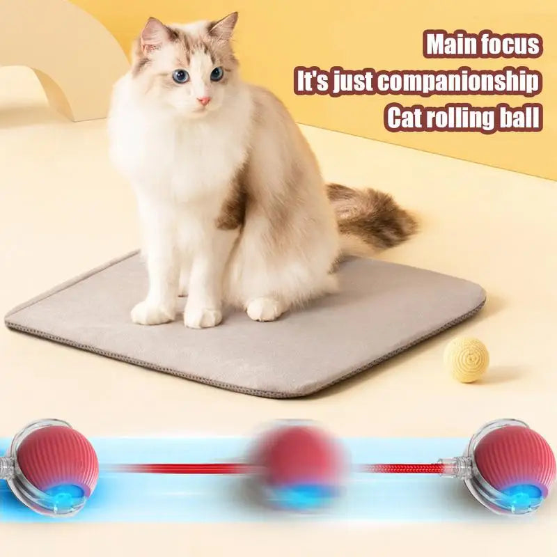 Cat Interactive Ball Toys