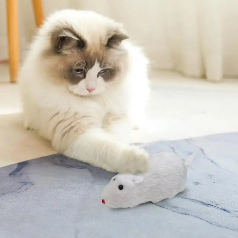 Fun Mouse and Interactive Plush Wind-Up Cat Toy