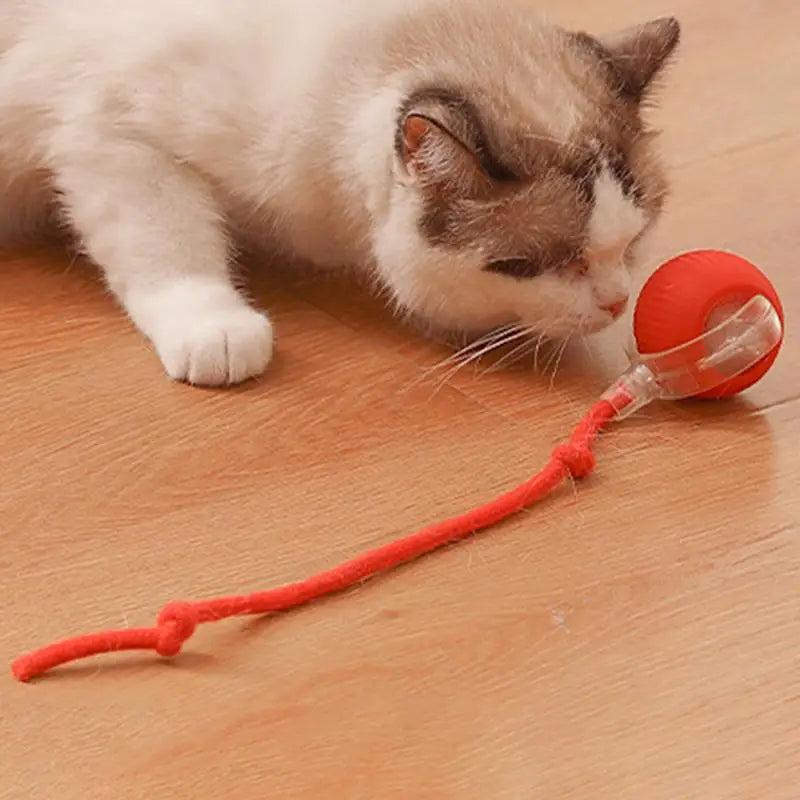 Cat Interactive Ball Toys