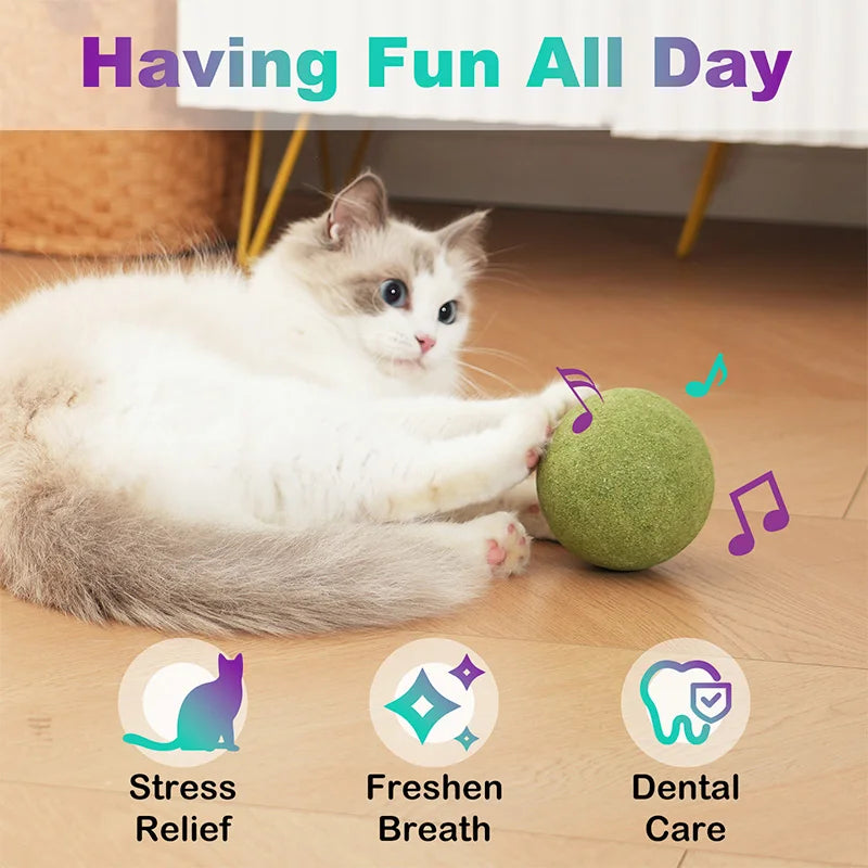 10cm Super Large Catnip Ball